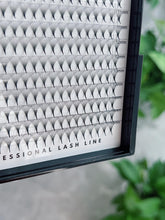 Load image into Gallery viewer, 14D Pro-Made Lash Fans (.05mm)